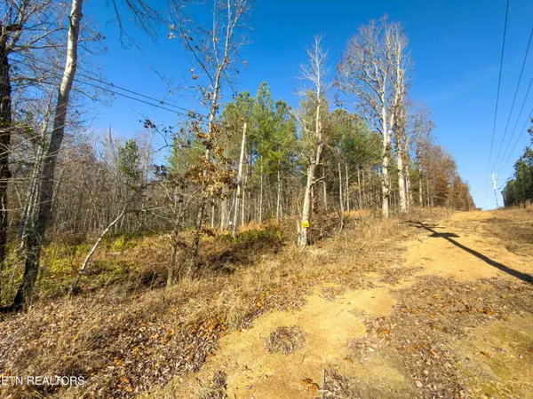 9745 Morgan County Hwy, Sunbright, TN 37872