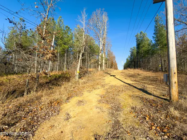 9745 Morgan County Hwy, Sunbright, TN 37872