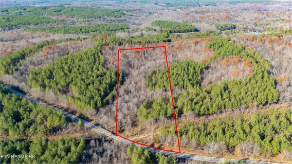 9745 Morgan County Hwy, Sunbright, TN 37872