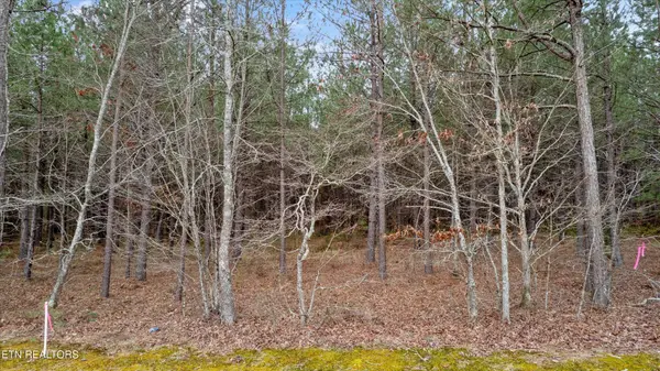0 Morgan Co Hwy, Sunbright, TN 37872