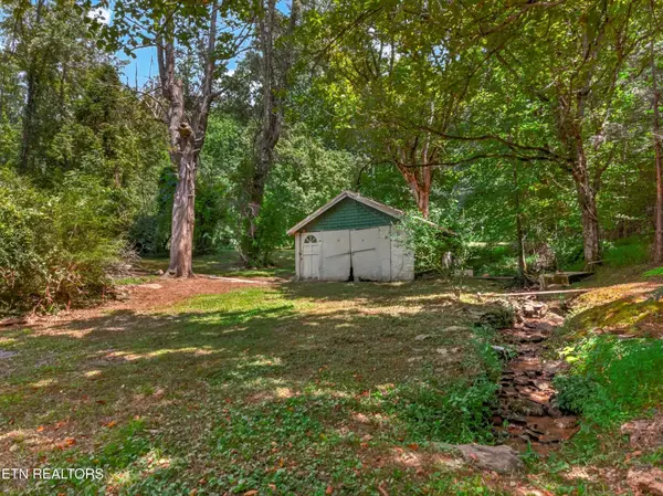 264 Beech Branch Rd, Gatlinburg, TN 37738