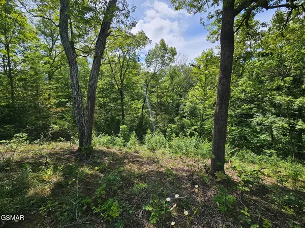 67910 Pleasure Road, Sevierville, TN 37876