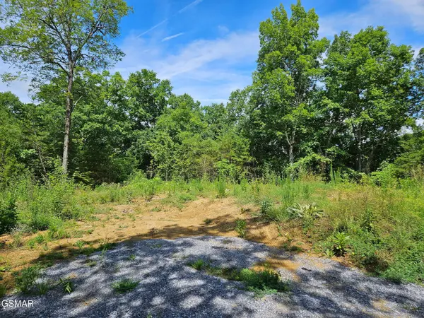 67910 Pleasure Road, Sevierville, TN 37876