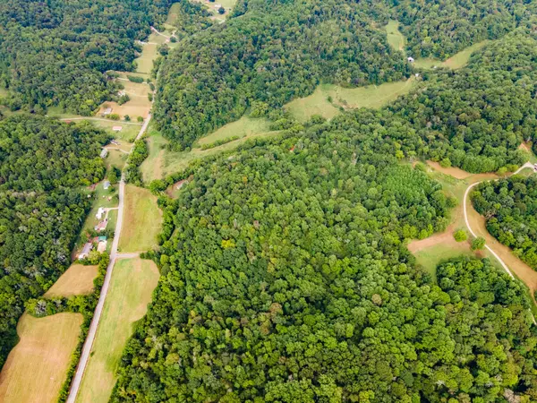 3045 Robert Skelley Rd, Columbia, TN 38401