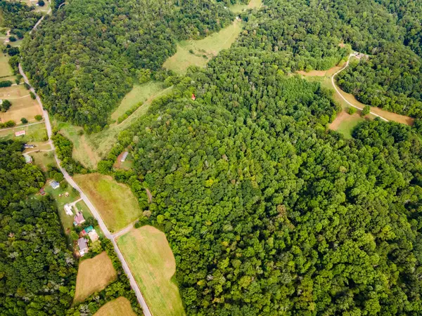 3045 Robert Skelley Rd, Columbia, TN 38401