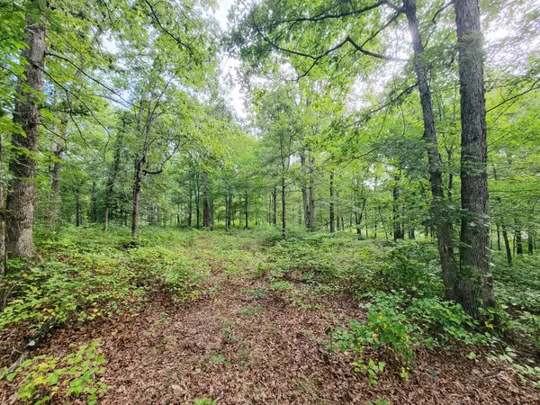 0 Ridgewood Dr, Mc Ewen, TN 37101