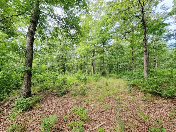 0 Ridgewood Dr, Mc Ewen, TN 37101