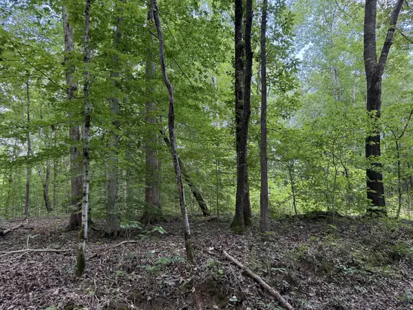 995 Hurricane Creek Road, Stewart, TN 37175