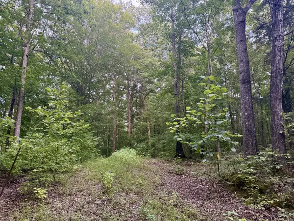 995 Hurricane Creek Road, Stewart, TN 37175