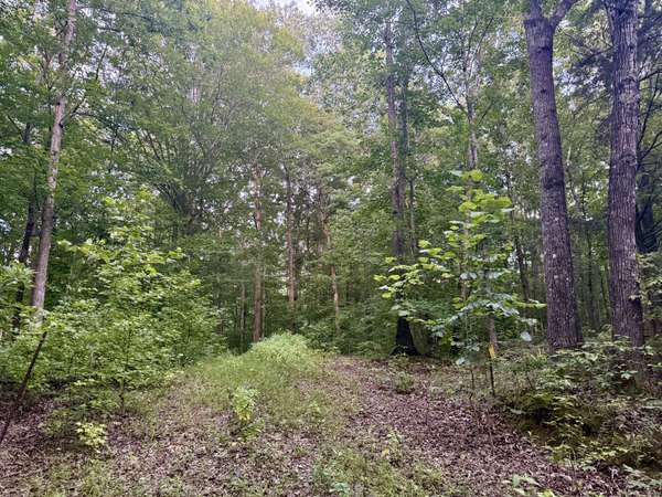 995 Hurricane Creek Road, Stewart, TN 37175