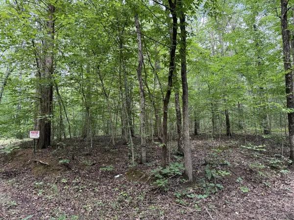 995 Hurricane Creek Road, Stewart, TN 37175
