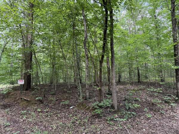995 Hurricane Creek Road, Stewart, TN 37175