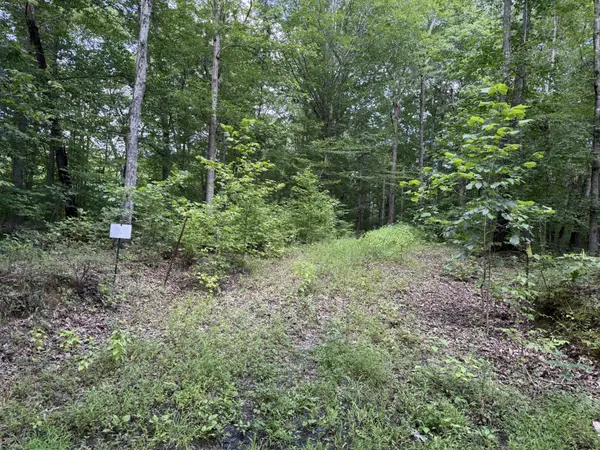 995 Hurricane Creek Road, Stewart, TN 37175
