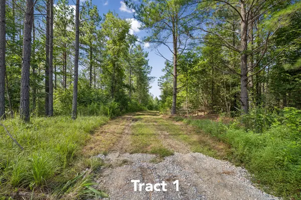 1420 Big Swan Creek Rd, Summertown, TN 38483