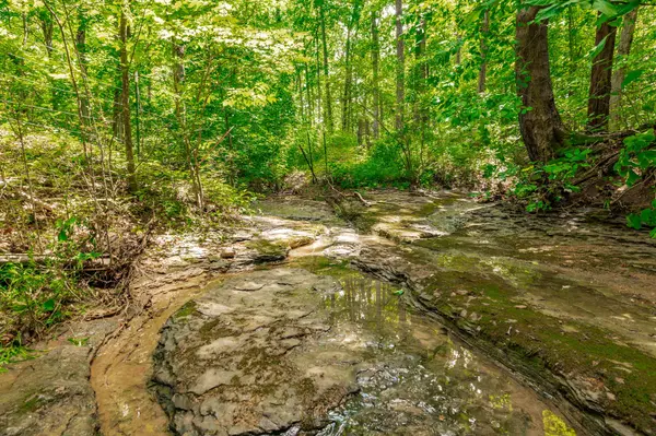 0 New Hall Rd, Greenbrier, TN 37073