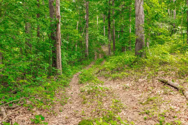 0 New Hall Rd, Greenbrier, TN 37073