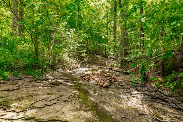 0 New Hall Rd, Greenbrier, TN 37073