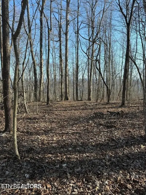 0 Jackson Ridge Rd, Tazewell, TN 37879