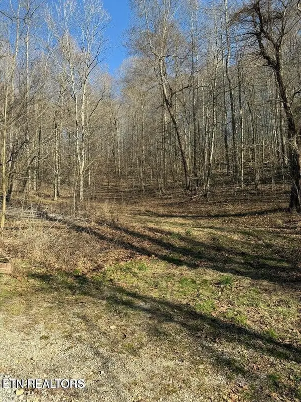 0 Jackson Ridge Rd, Tazewell, TN 37879