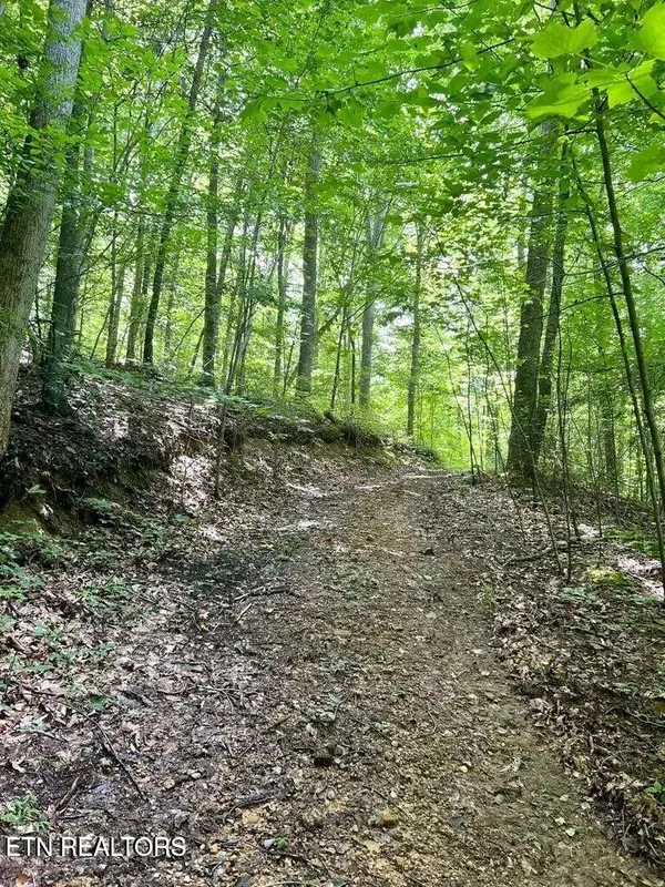 0 Jackson Ridge Rd, Tazewell, TN 37879
