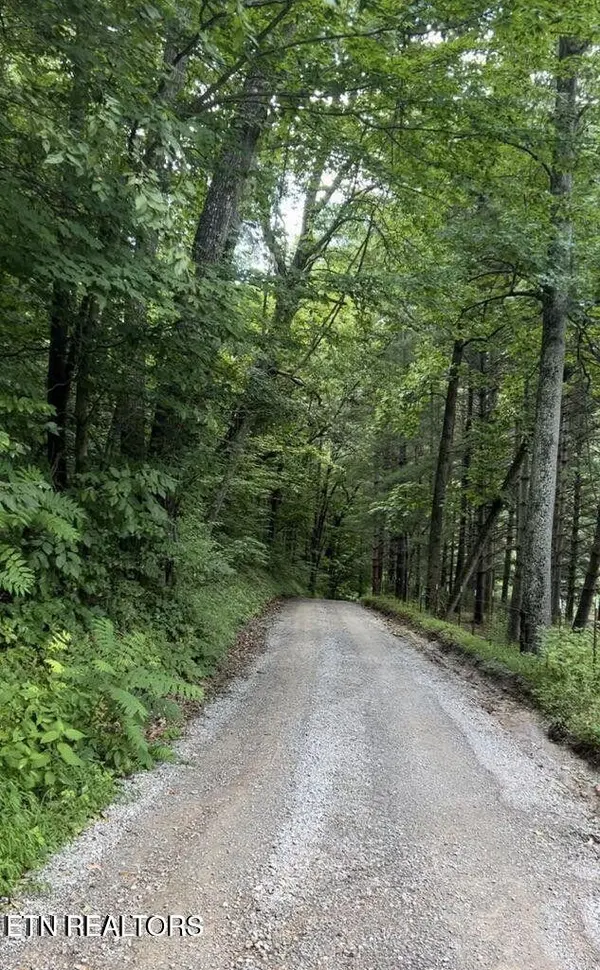 0 Jackson Ridge Rd, Tazewell, TN 37879