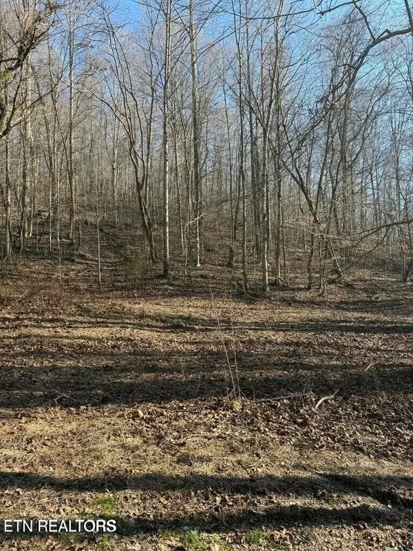 0 Jackson Ridge Rd, Tazewell, TN 37879