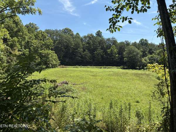186 Drinnon Lane, Sneedville, TN 37869