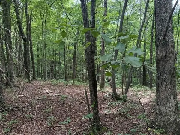 3 S Pittsburg Mountain Road, South Pittsburg, TN 37380