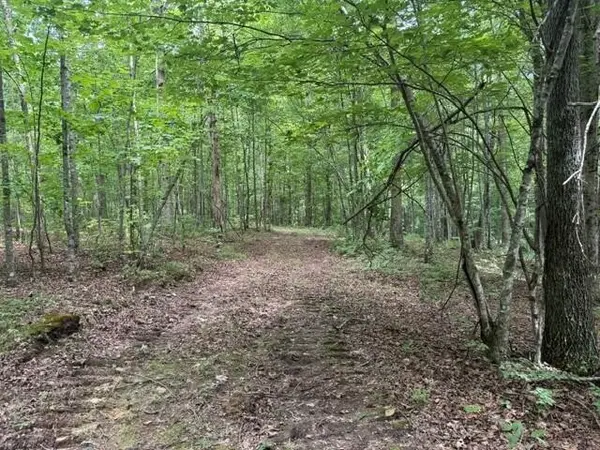 3 S Pittsburg Mountain Road, South Pittsburg, TN 37380