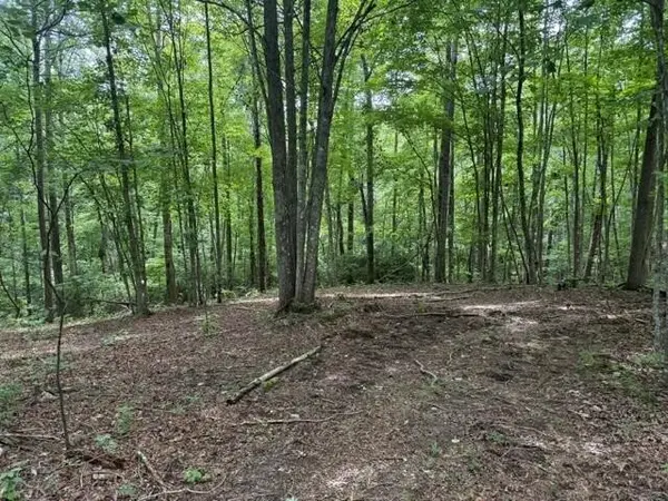 3 S Pittsburg Mountain Road, South Pittsburg, TN 37380