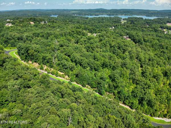393 W Mountain Drive, Rockwood, TN 37854