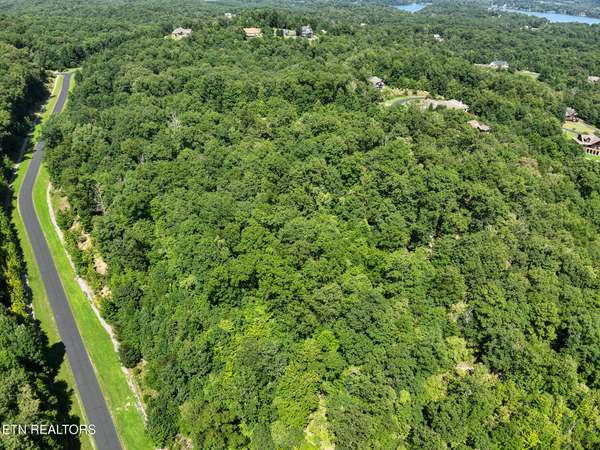 393 W Mountain Drive, Rockwood, TN 37854