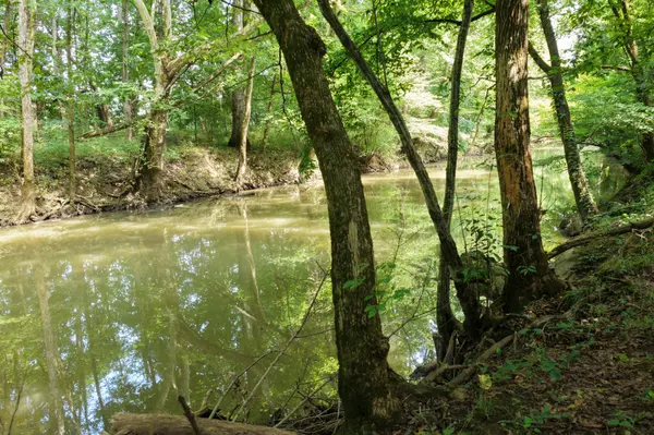 0 Webb Rd, Eagleville, TN 37060