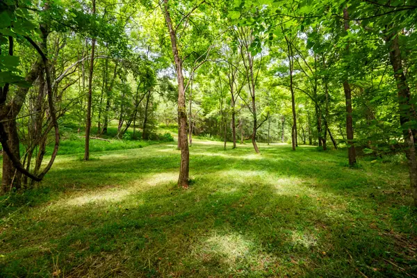 0 Bethlehem Rd, Springfield, TN 37172