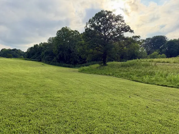 669 Houston Fielder Rd, Clarksville, TN 37043