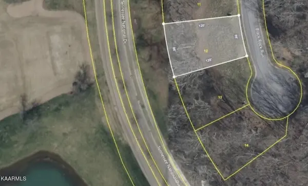 942 Black Rock Run, Loudon, TN 37774