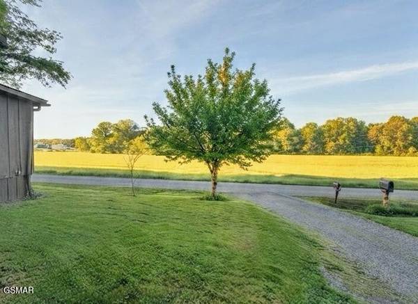 125 Stinson Road, Newport, TN 37821