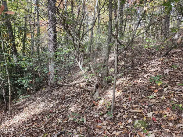 11 Bluff Mtn Rd, Sevierville, TN 37876