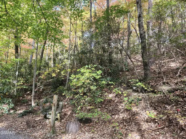 11 Bluff Mtn. Rd., Sevierville, TN 37876