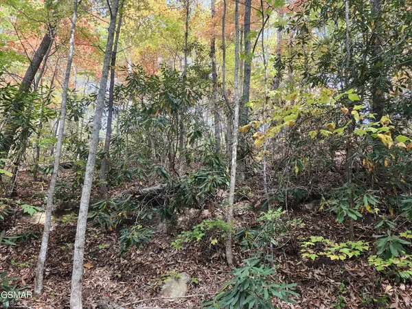 11 Bluff Mtn. Rd., Sevierville, TN 37876