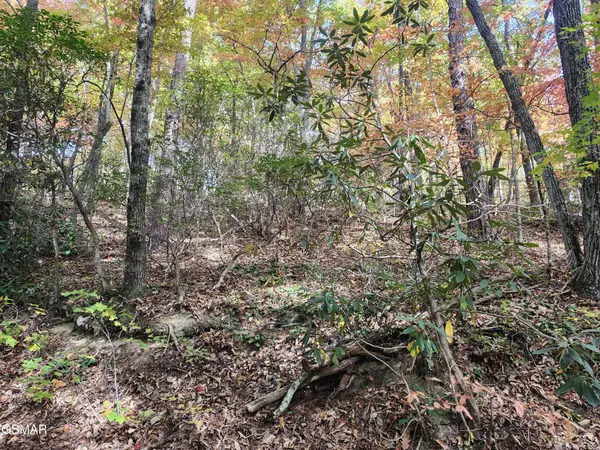 11 Bluff Mtn. Rd., Sevierville, TN 37876