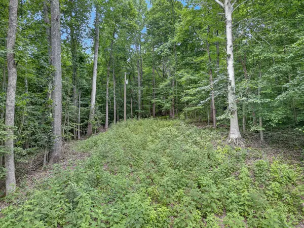 737 Lee Hollow Rd, Indian Mound, TN 37079
