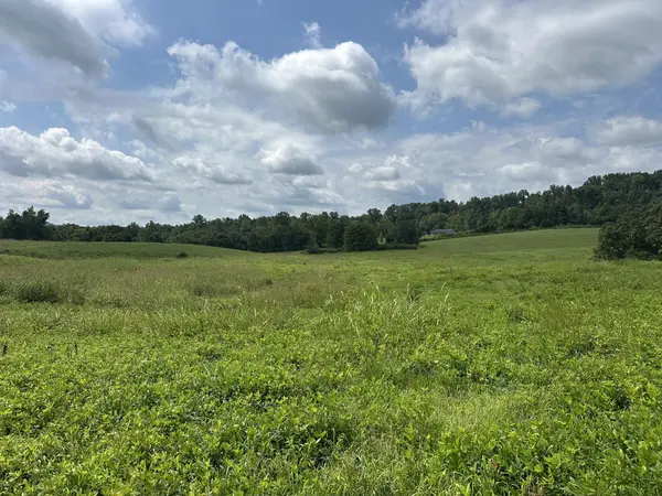 0 Plum Creek Rd, Sparta, TN 38583