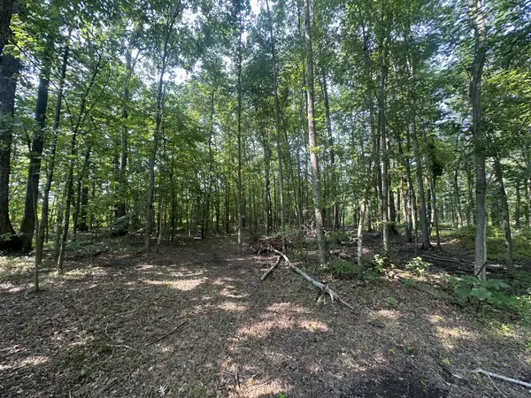 0 S Pinson Dr, White House, TN 37188
