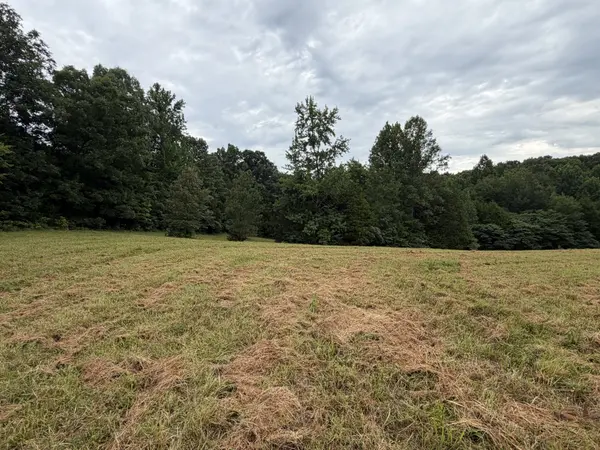 1310 hwy 120, Big Rock, TN 37023