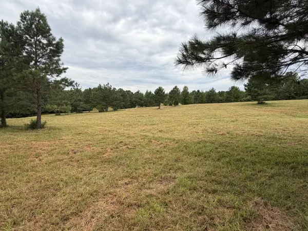1310 hwy 120, Big Rock, TN 37023