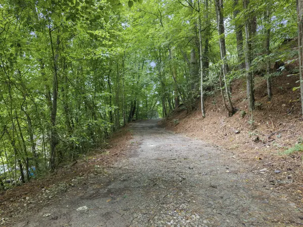 250 Owl Trce, Smithville, TN 37166