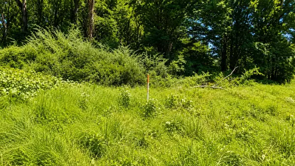539 Wallace Rd, Gallatin, TN 37066