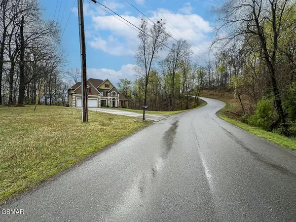 0 David Swann Drive, Dandridge, TN 37725