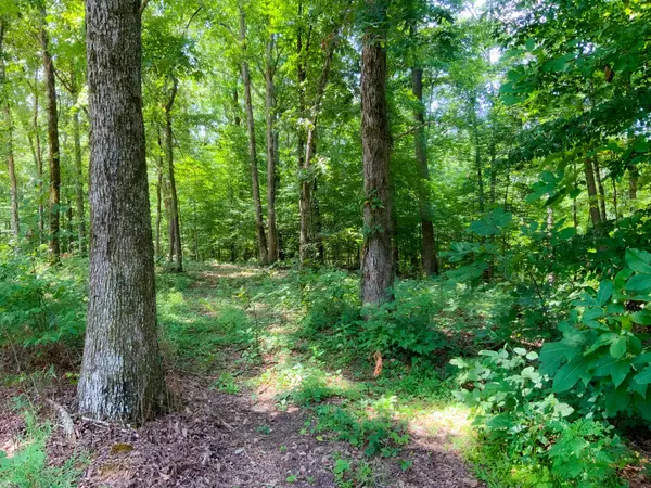 0 Deadwood Drive, Dover, TN 37058
